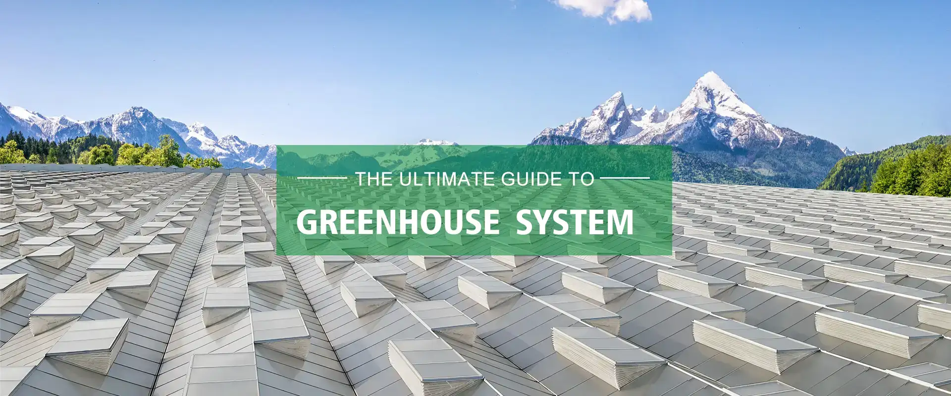 China Greenhouse System-leverancier