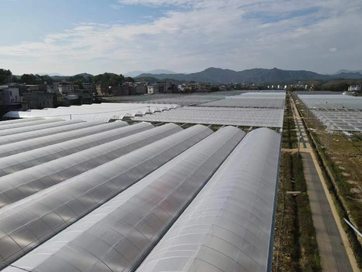 Het Chinese officiële landbouwdepartement is krachtig bezig met de ontwikkeling van slimme landbouw, inclusief slimme multispan-plastic landbouwkas