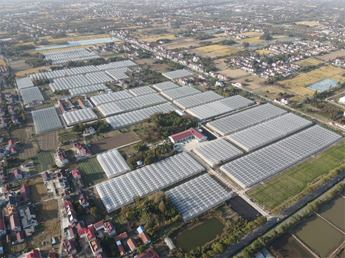 Het Vijftiende Vijfjarenplan heeft ertoe bijgedragen dat de facilitaire landbouw zich krachtig heeft ontwikkeld