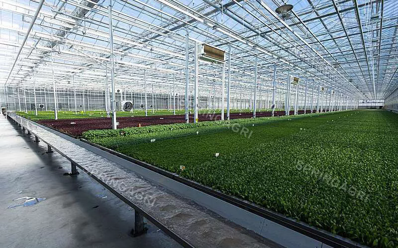Kasoplossing: een duurzame benadering van de landbouw