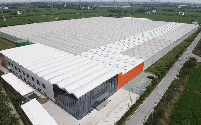 Voordelen van multispan glazen kas