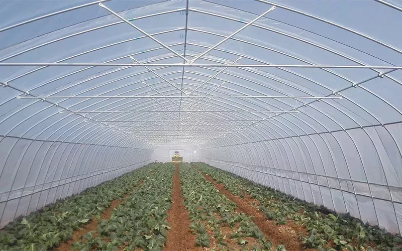 Plastic Greenhouses prestatie -indicatoren