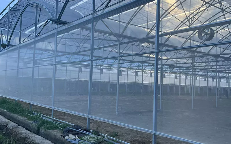 Zijn er potentiële risico's verbonden aan het gebruik van Greenhouse Insect Net?