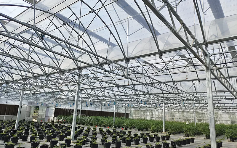 Hoge lichtdoorlatendheid Multi Span PO Clear Film Greenhouse