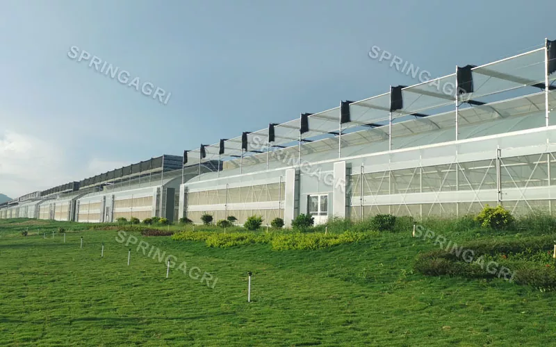 Grootschalige, goedkope multispan kunststof groentekas