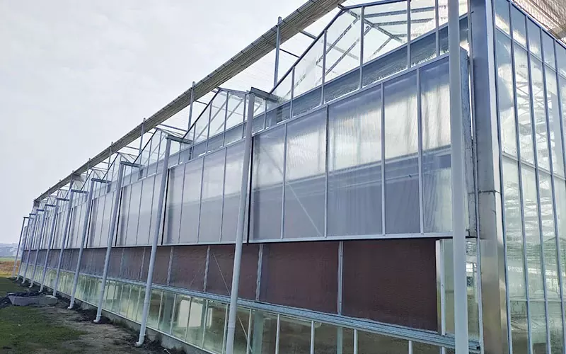 Multi-Span heldere polycarbonaat kas te koop