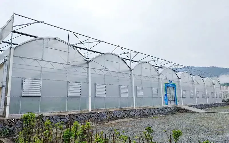 Multispan Plastic Film Kas