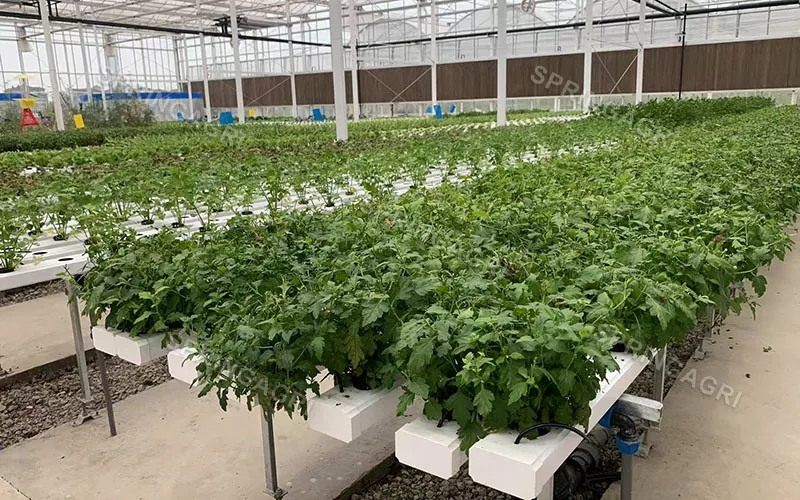 Verticale NFT Farming hydrocultuur kweeksystemen